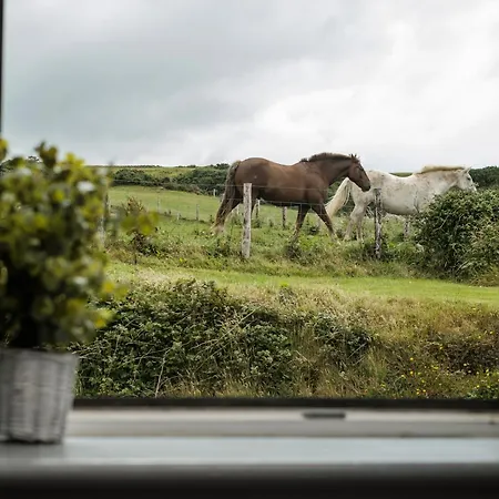 The فندق مبيت وإفطار 3*