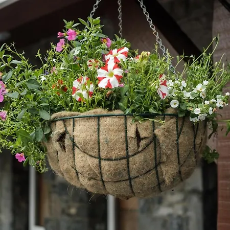 The فندق مبيت وإفطار دولين