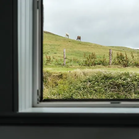 The Doolin