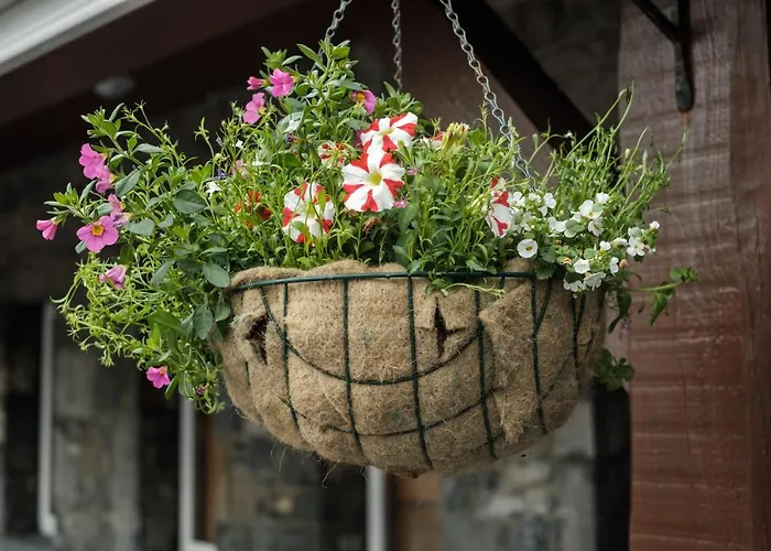 The Bed & Breakfast Doolin